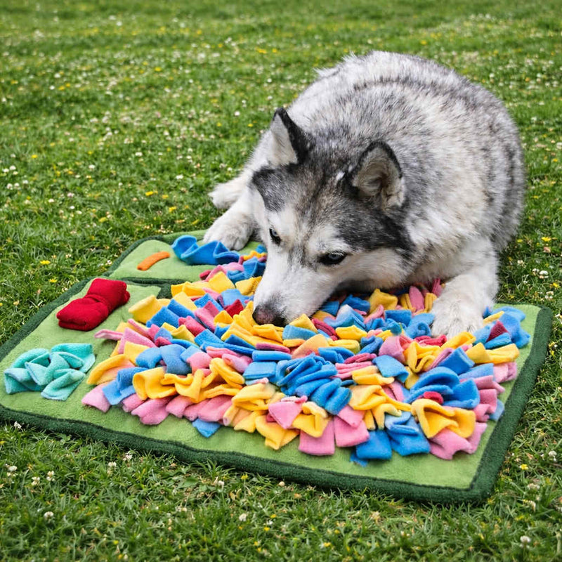 Jeux et jouets