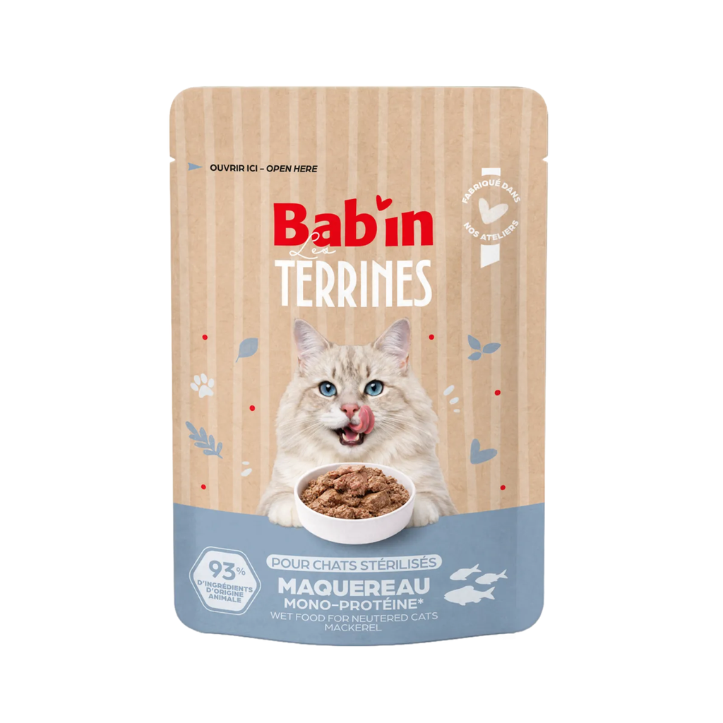 Terrine bab’in chat poisson