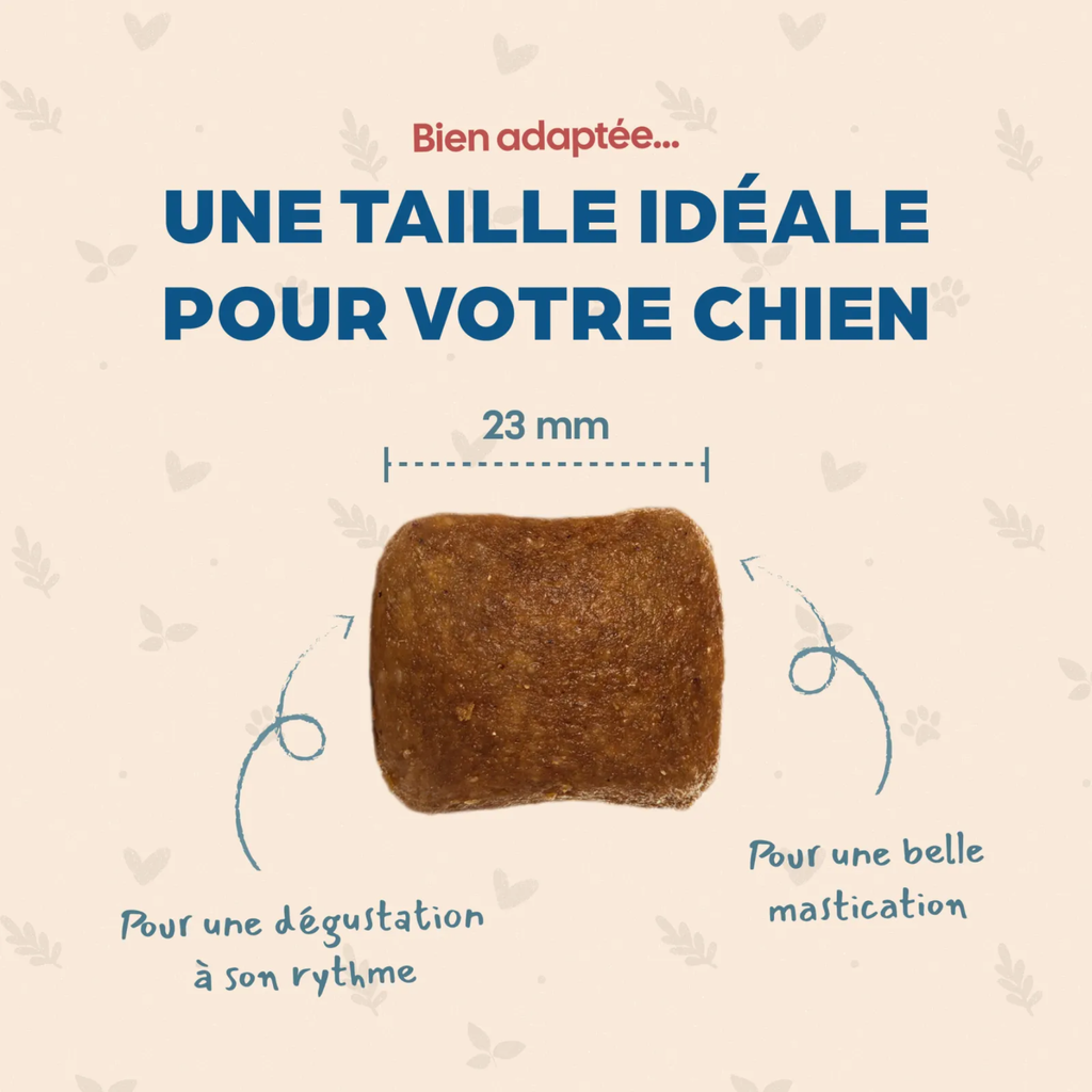 Croquettes Chien Maxi Adulte - Bab'in - 12 kg