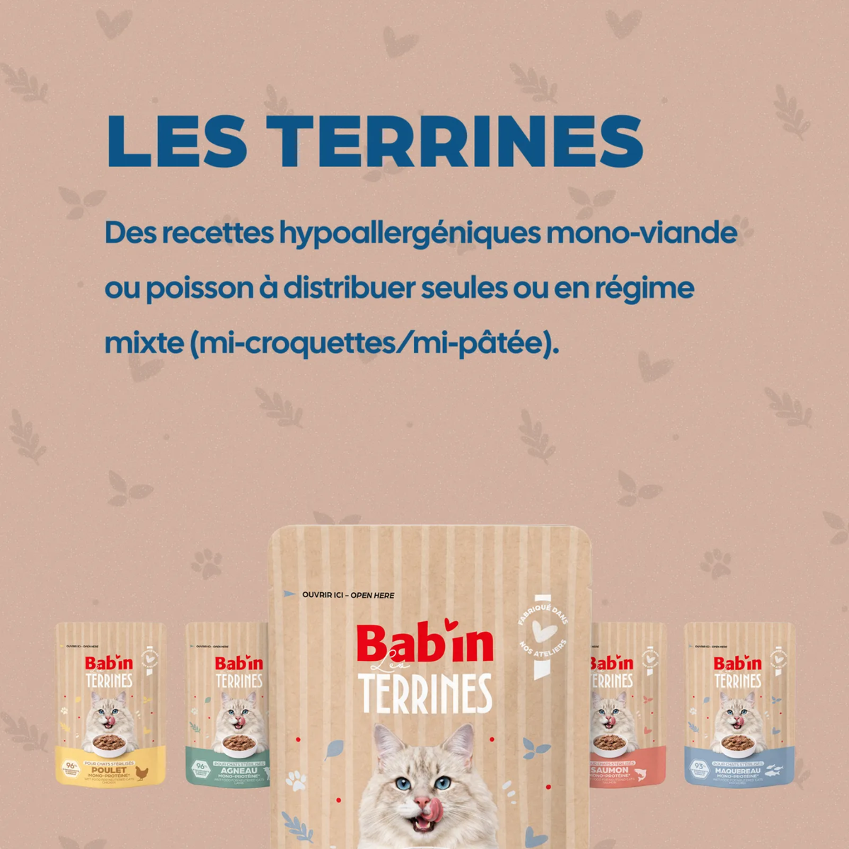 Terrine bab’in chat poisson