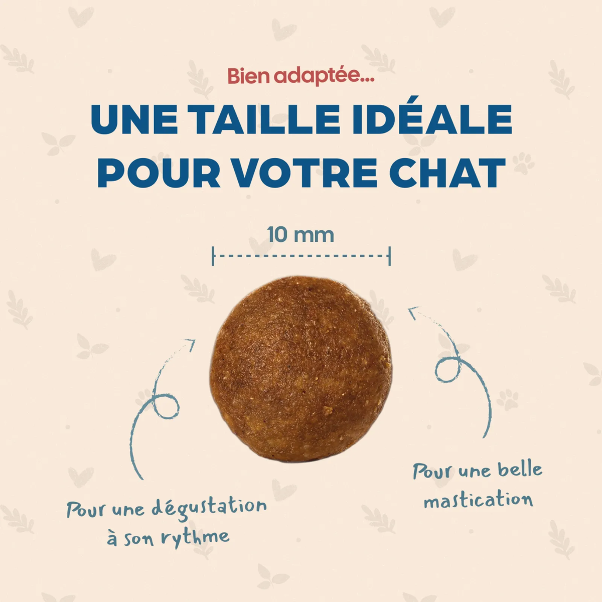 Croquettes Chat poulet - Bab'in - 6 kg