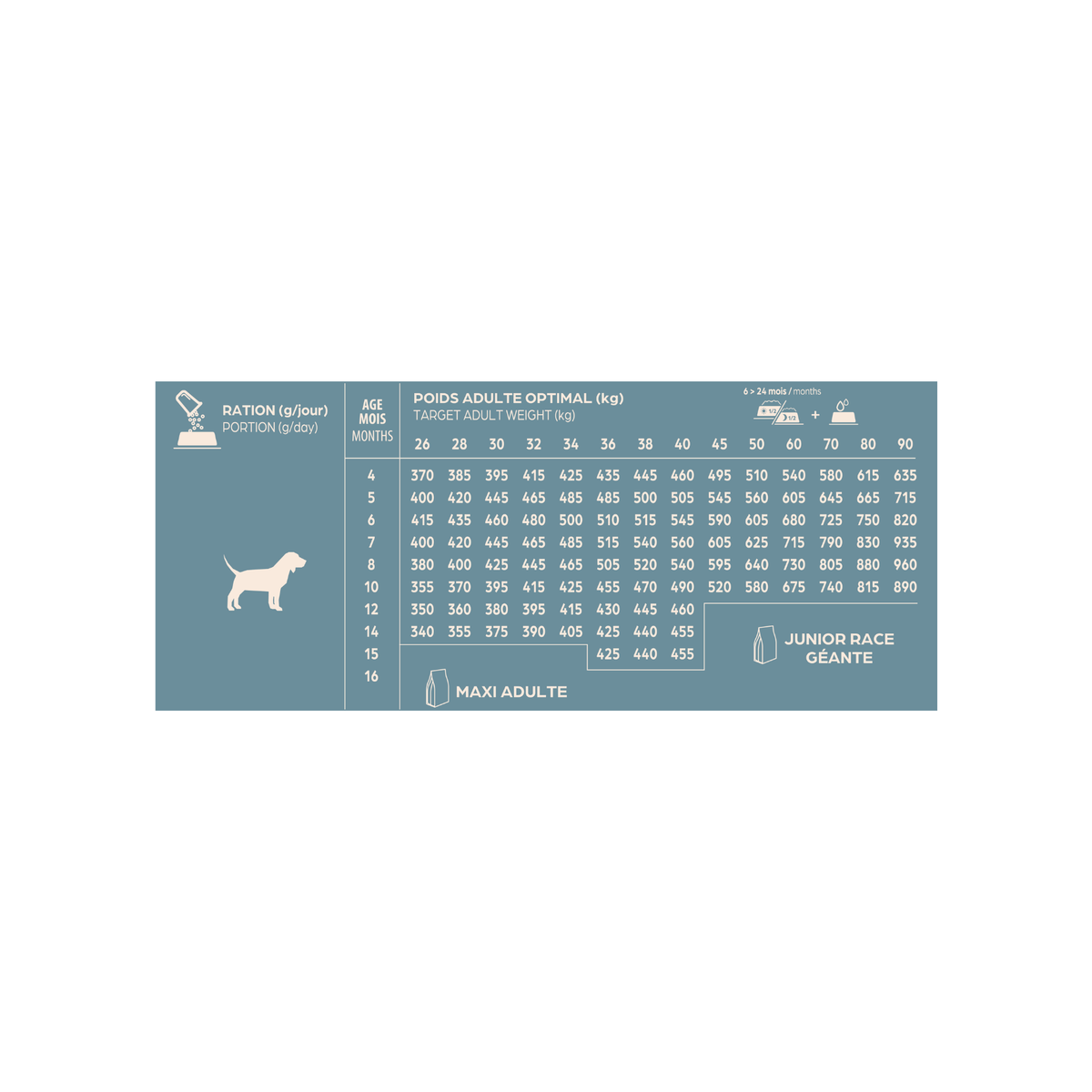 Croquettes junior Maxi - BABIN - 12 kg