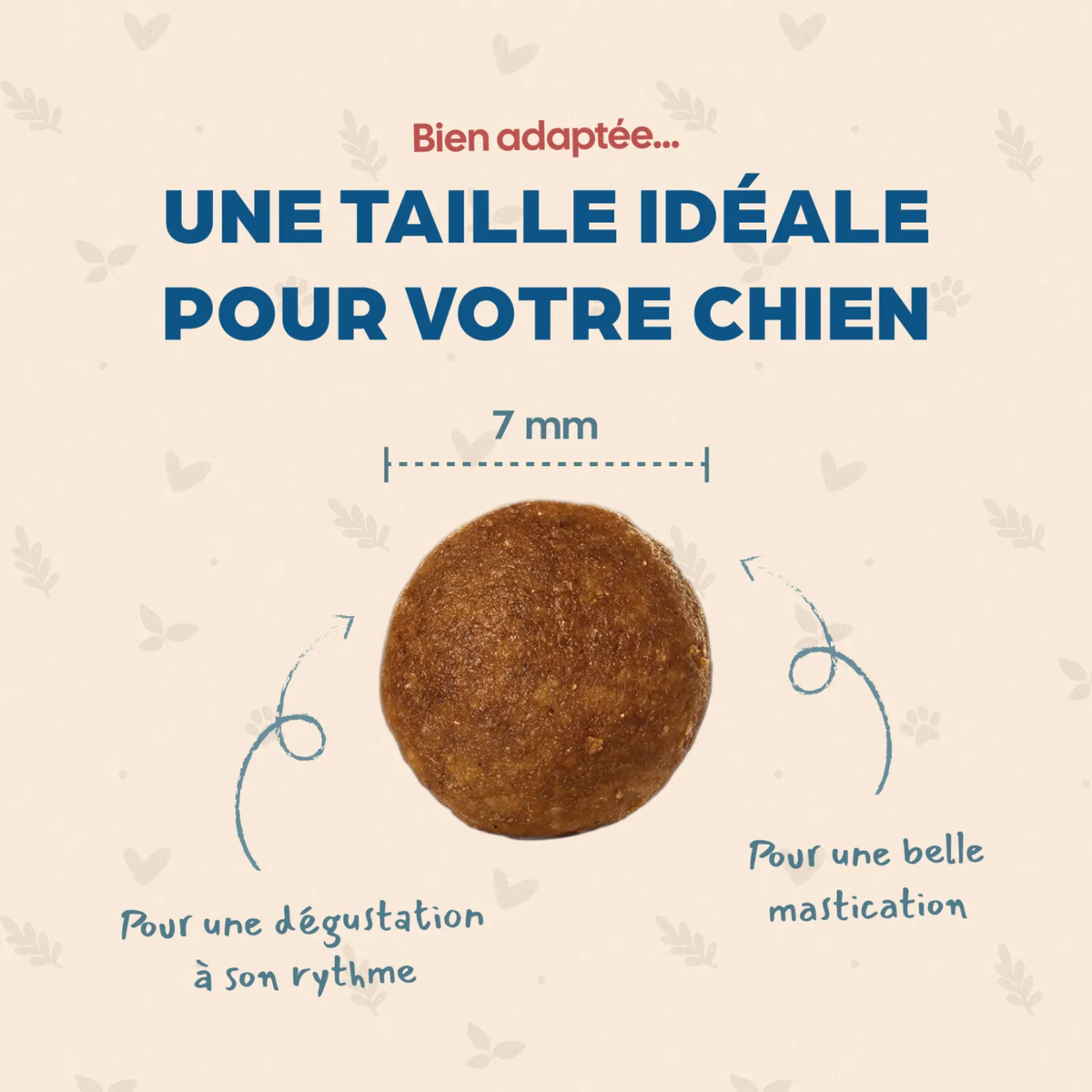 Croquettes mini junior - BABIN - 2 kg