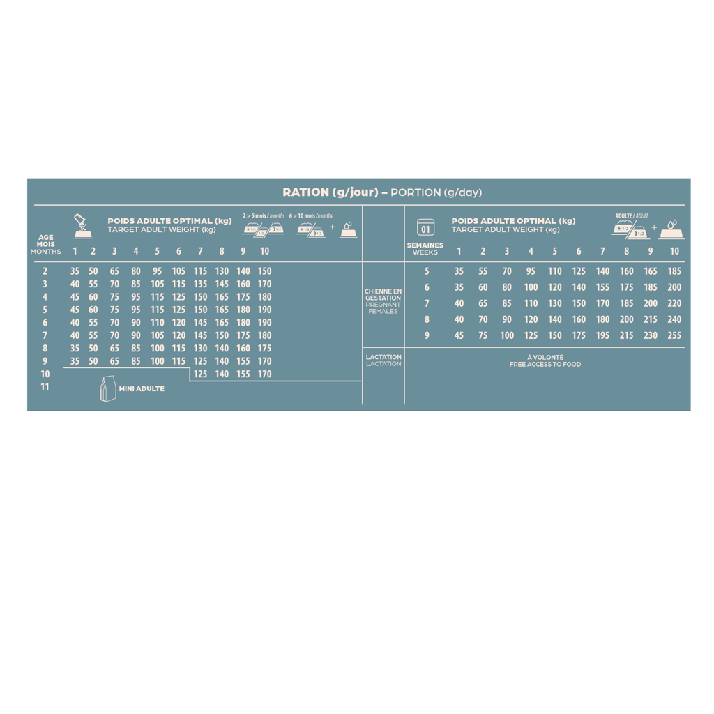 Croquettes mini junior - BABIN - 2 kg