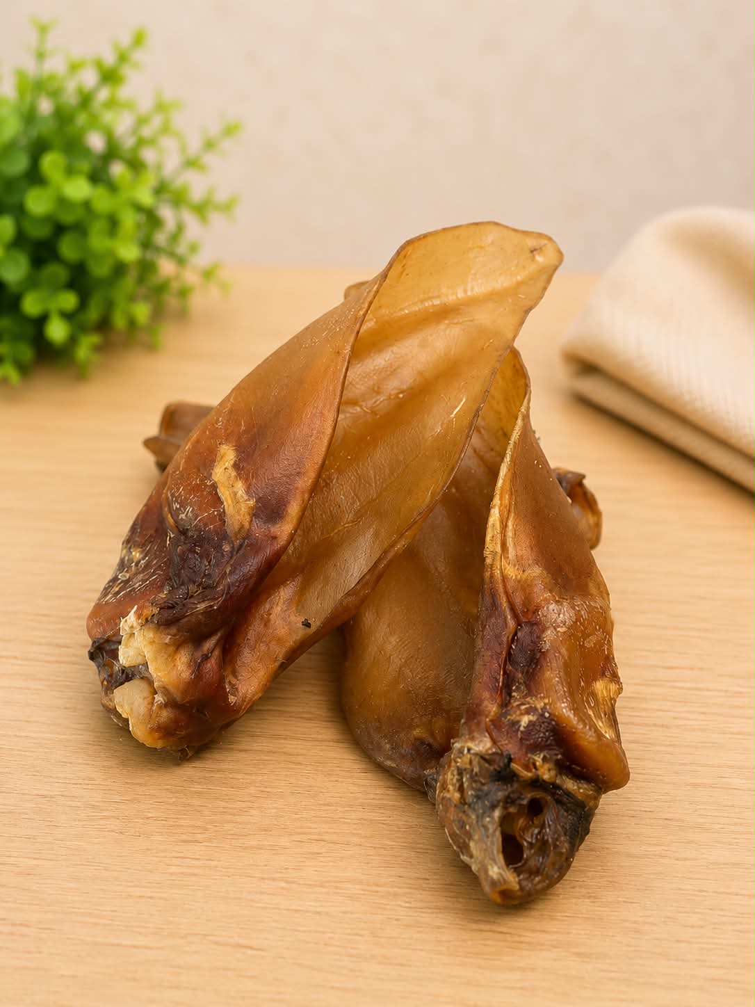 Oreille de bœuf