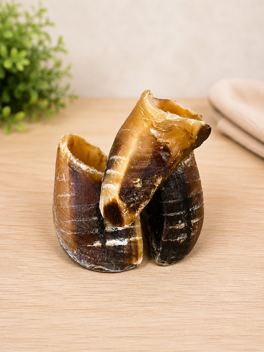 Sabot de bœuf