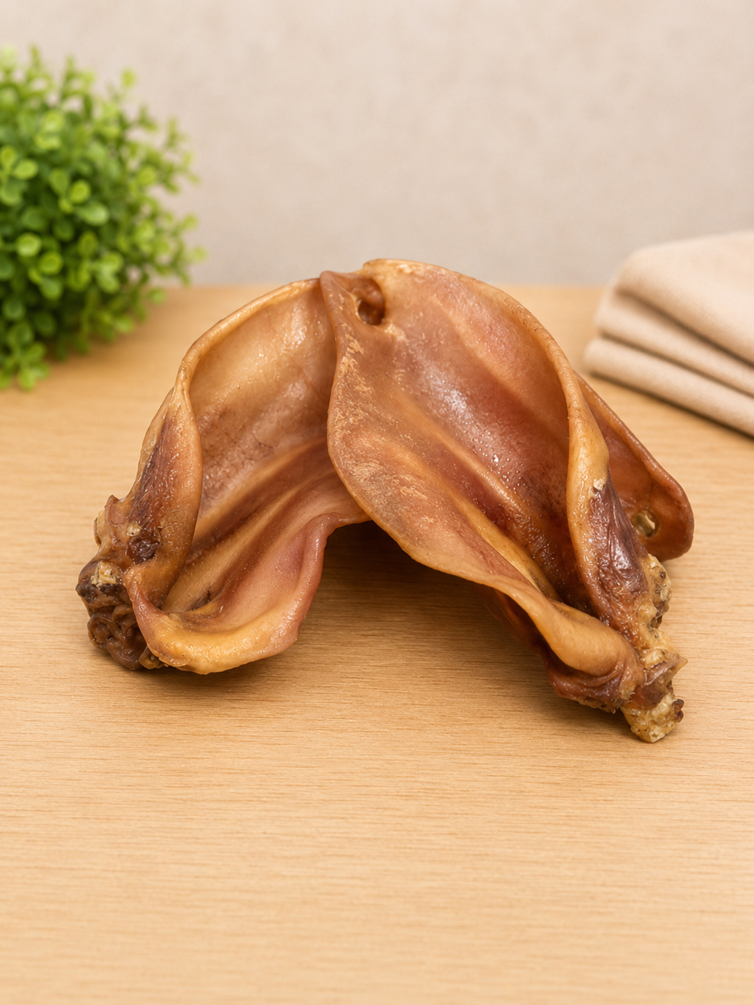 Oreille de porc