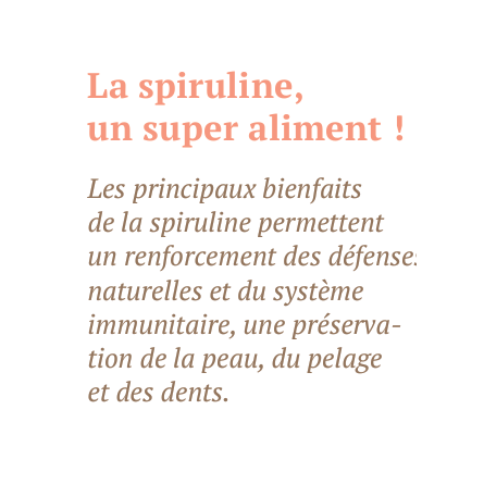 Bab'in Le Moelleux Truite Spiruline