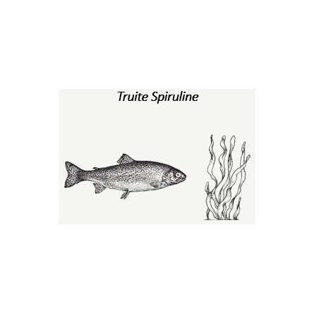Bab'in Le Moelleux Truite Spiruline