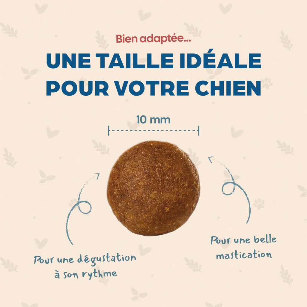 Mini Senior - BABIN - 6 kg