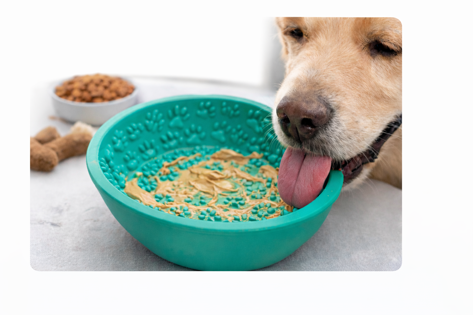 Bol à lécher pour chien – anti-stress et occupation intelligente