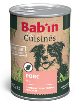 Terrine les cuisinés BABIN - Porc pois